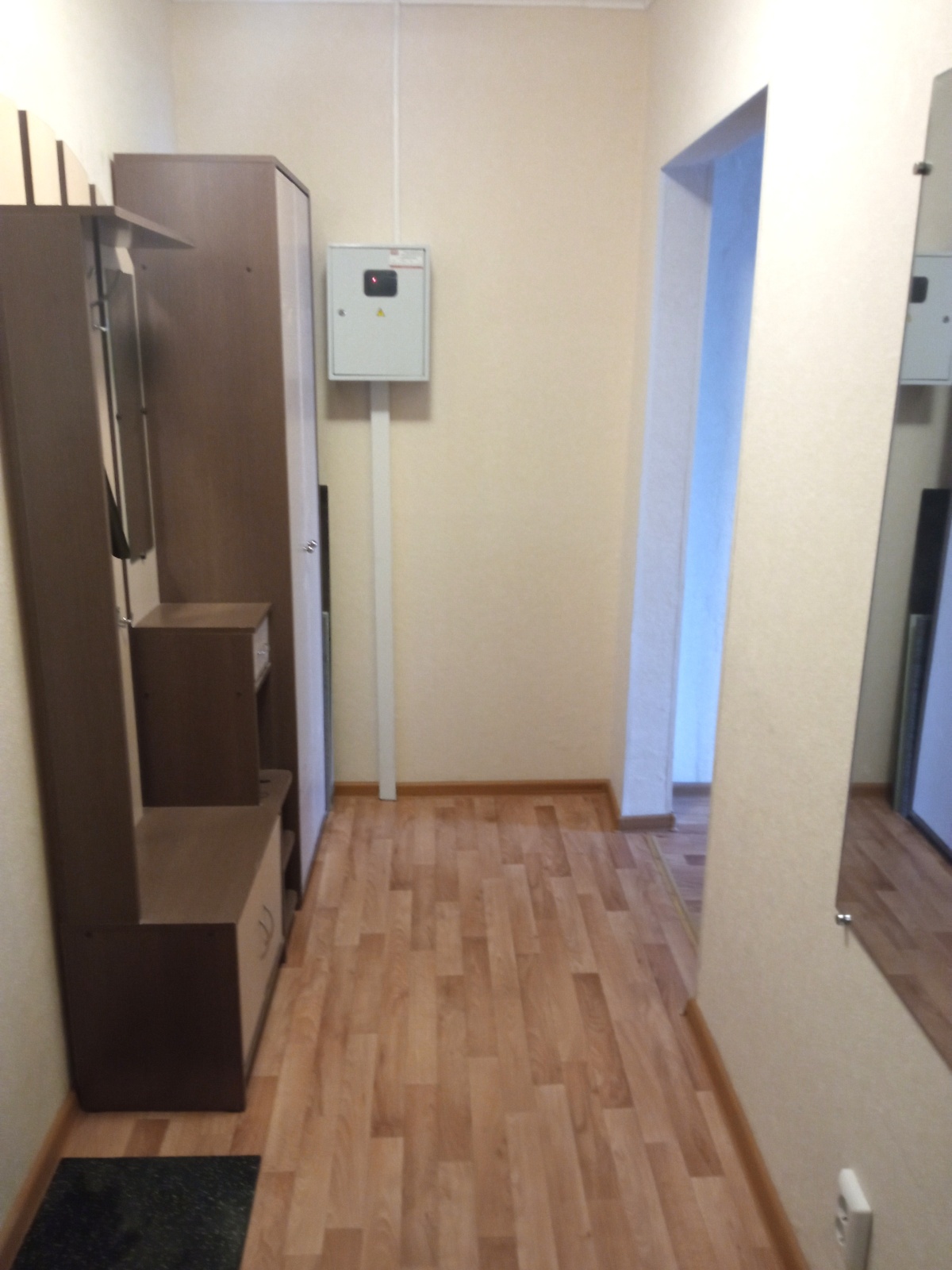 1к.кв 2+2 Черепанова-Бебеля