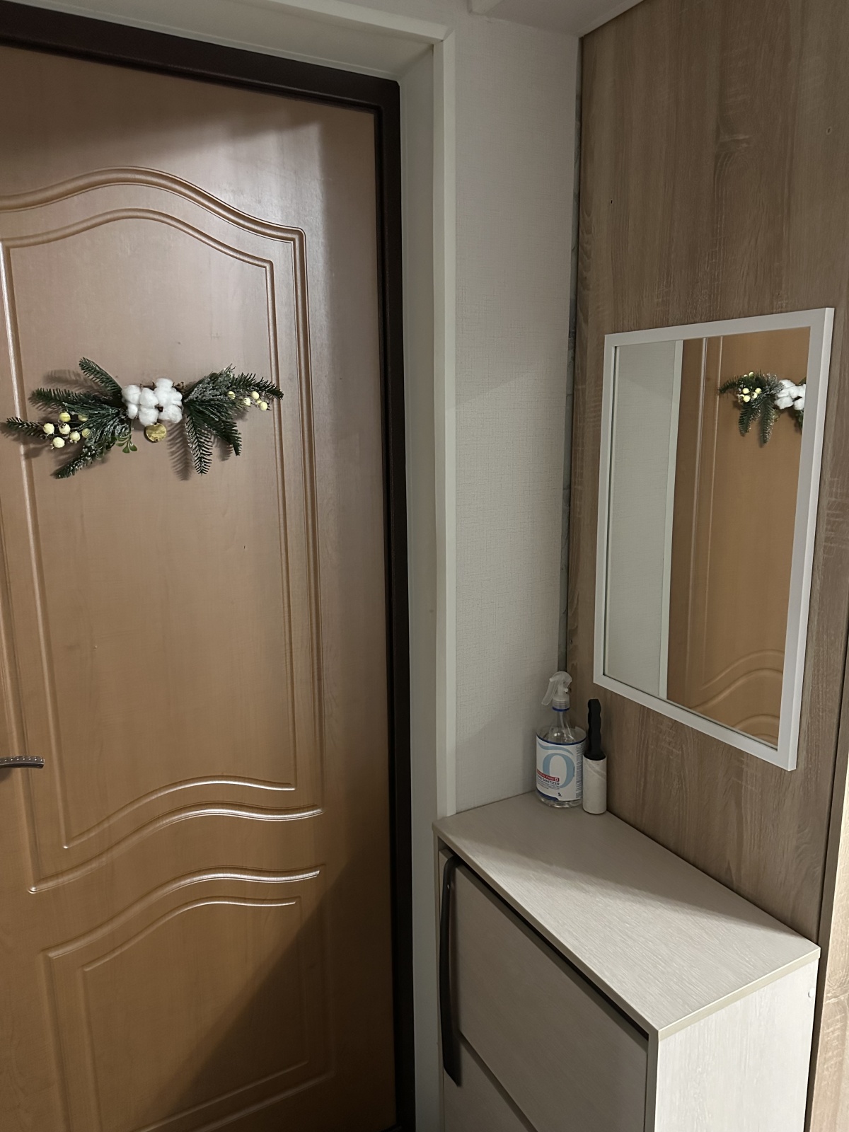 apARTament Ленина 52, К3А